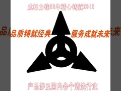 कंपनी परिचय