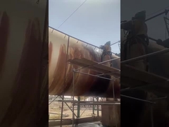 शुद्ध वीडियो